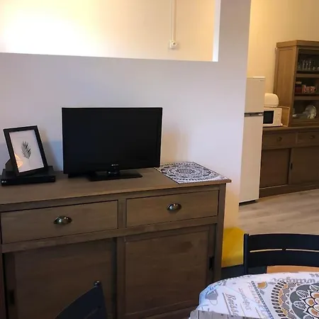 Lumineux Et Renove Dans Les Pyrenees Apartment *
